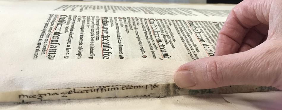 Liz Mullins UCD Image Award